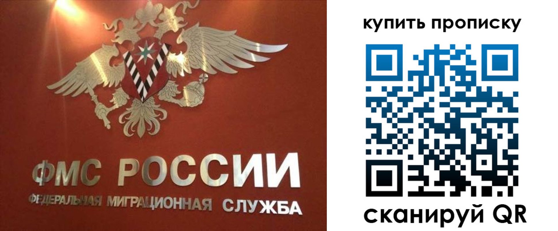 прописка для работы в Пионерском